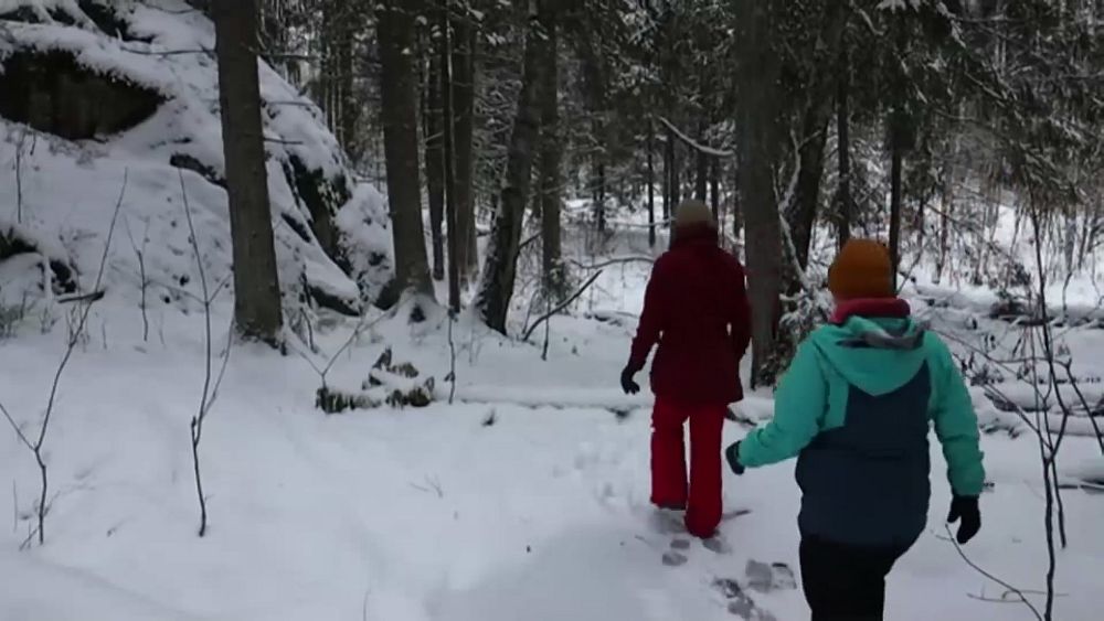 Fińskie „lasy zdrowia” pomagają pacjentom czerpać korzyści dla zdrowia psychicznego z przebywania na łonie natury