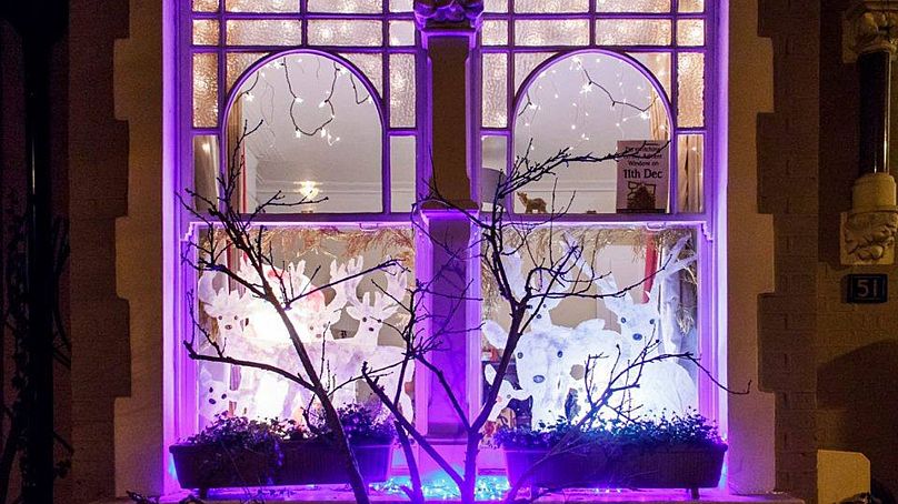 Okno ozdobione żywym kalendarzem adwentowym Whitehall Park w Londynie.