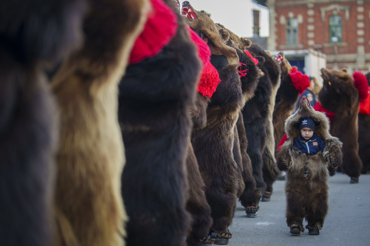 Dziecko należące do tradycyjnego stada niedźwiedzi bierze udział w paradzie na głównej ulicy przed występem na festiwalu w Moinesti w północnej Rumunii, środa, 27 grudnia 2023 r.