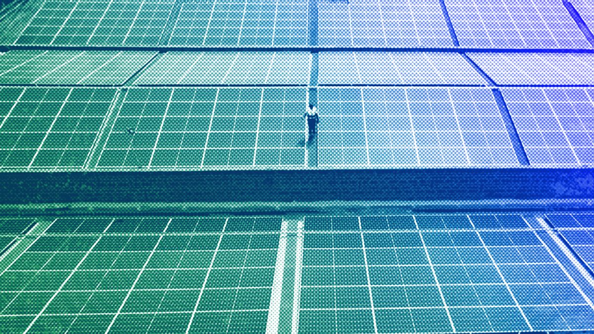 A technician examines solar panels on the roof of a company in Nairobi, September 2023