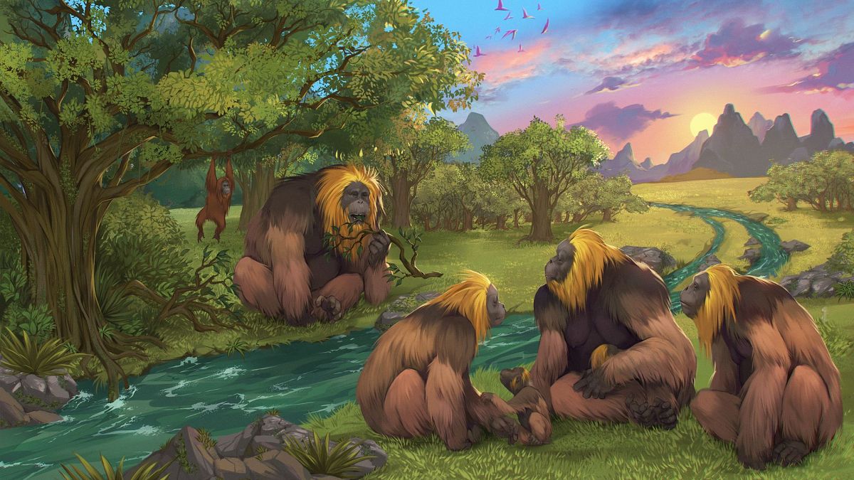 This illustration depicts Gigantopithecus blacki in a forest in the Guangxi region of southern China.