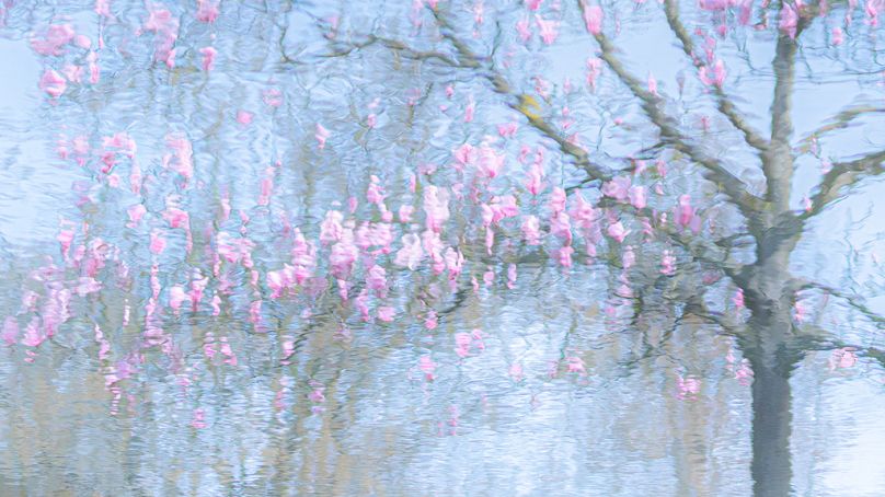 Refleksja Rii Bloemendaal