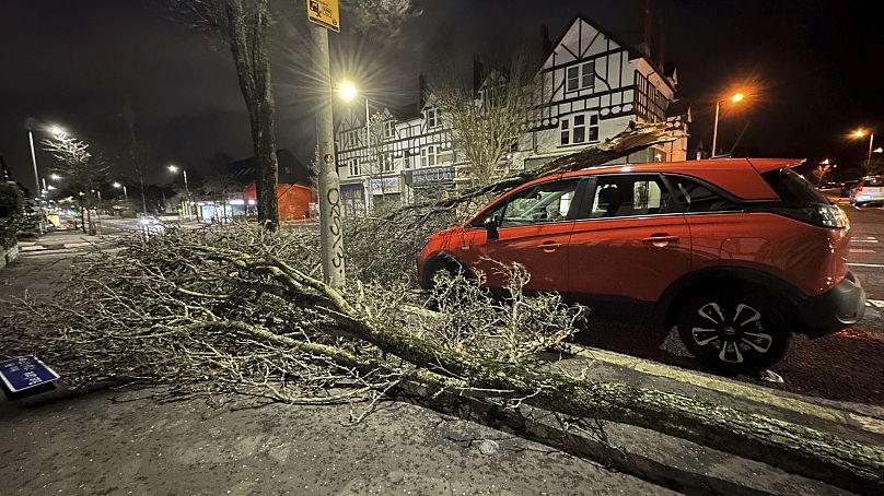Gałąź drzewa spadła na samochód na Lisburn Road w Belfaście w Irlandii Północnej podczas burzy Isha w dniu 21 stycznia 2024 r.
