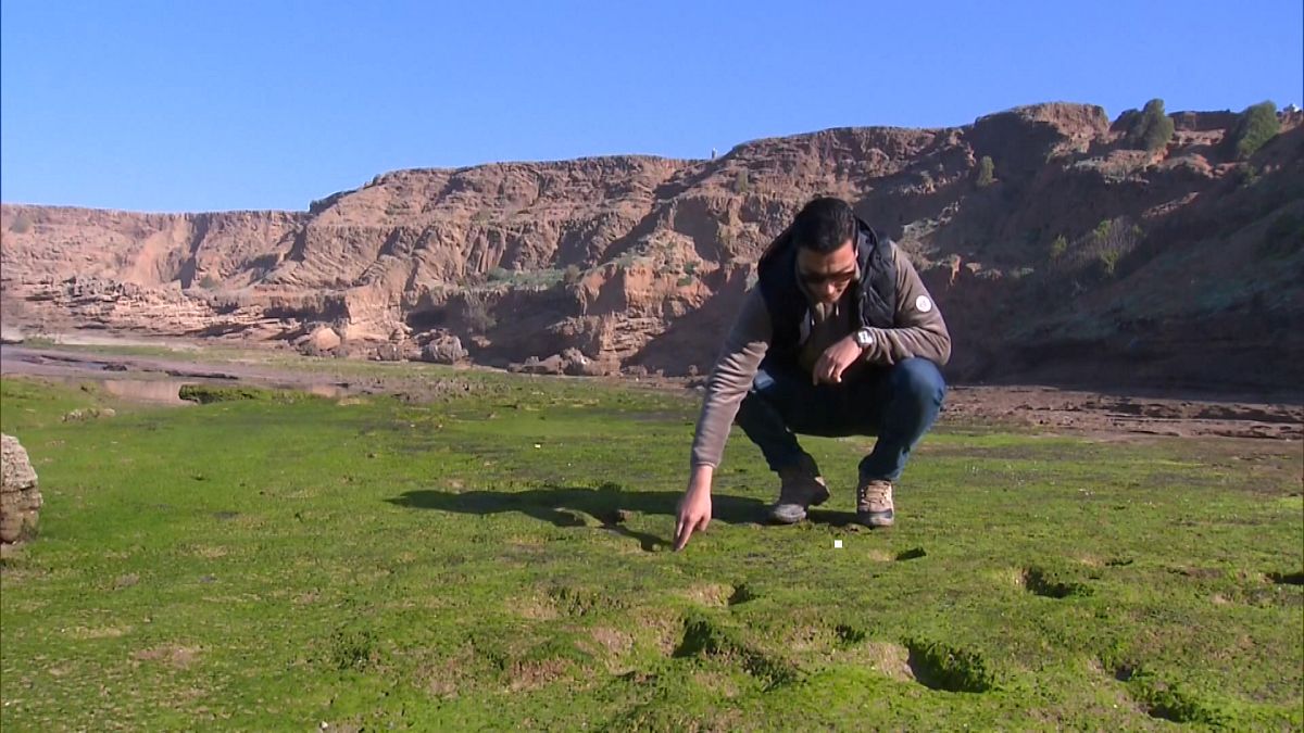 Anas Sedrati observes footprints at archeological site in Larache