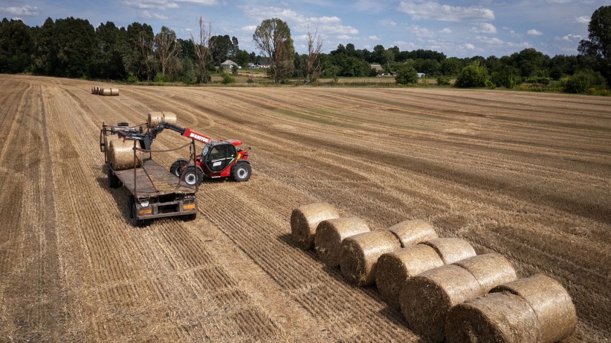 The European Union lifted all tariffs and quotas on Ukrainian grain in June 2022 to help the country sustain its battered economy.