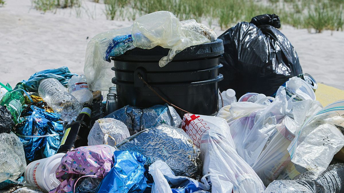 Plastic bags are not biodegradable, so they can continue to pollute the environment with harmful microplastics for hundreds of years after use.