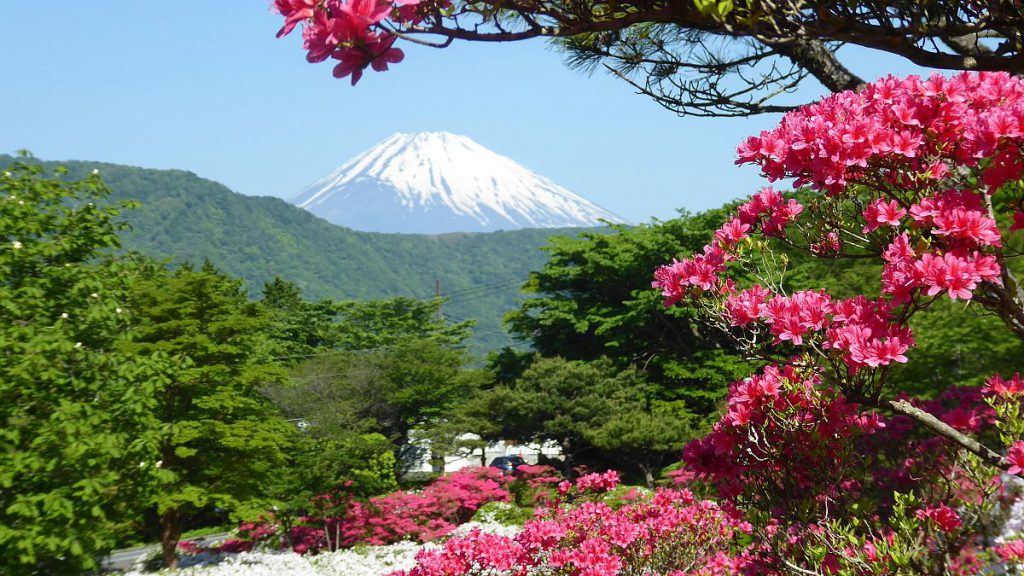 Beginning this summer, visitors to Mount Fuji will have to pay to hike one of the routes up the iconic mountain.