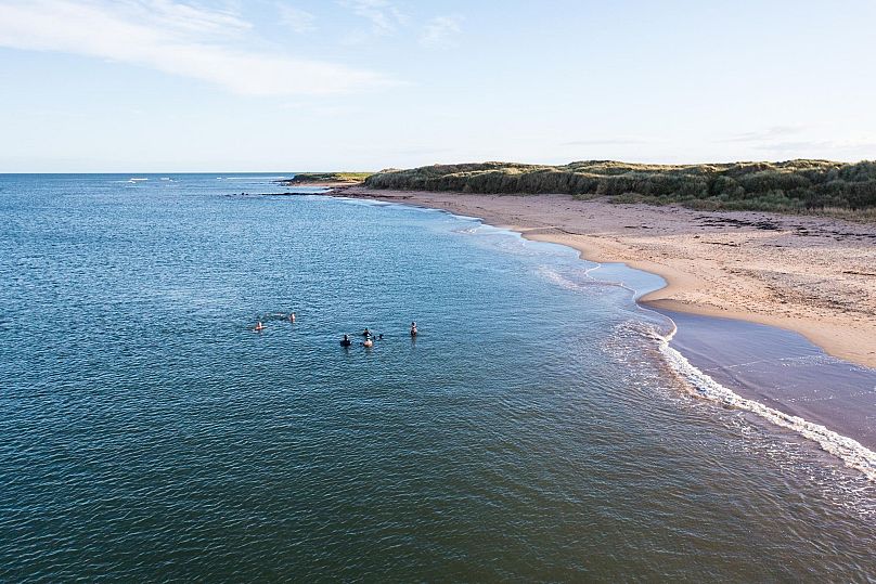 Plaża Longhoughton na wybrzeżu Northumberland