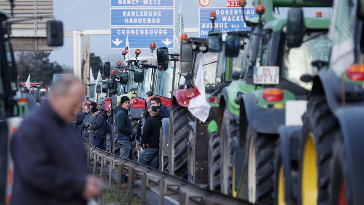 Since 2023, EU farmers have been required to devote 4% of their land to biodiversity and landscape protection if they want to access EU funds.