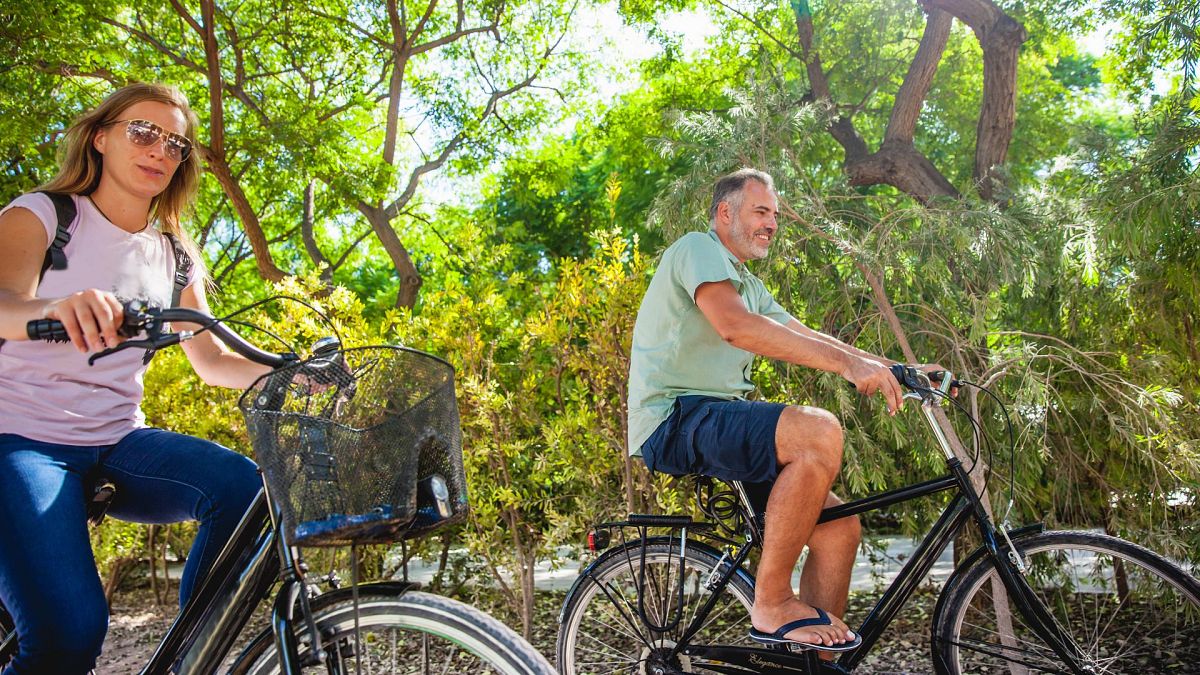 Take a bike tour of Valencia, Europe