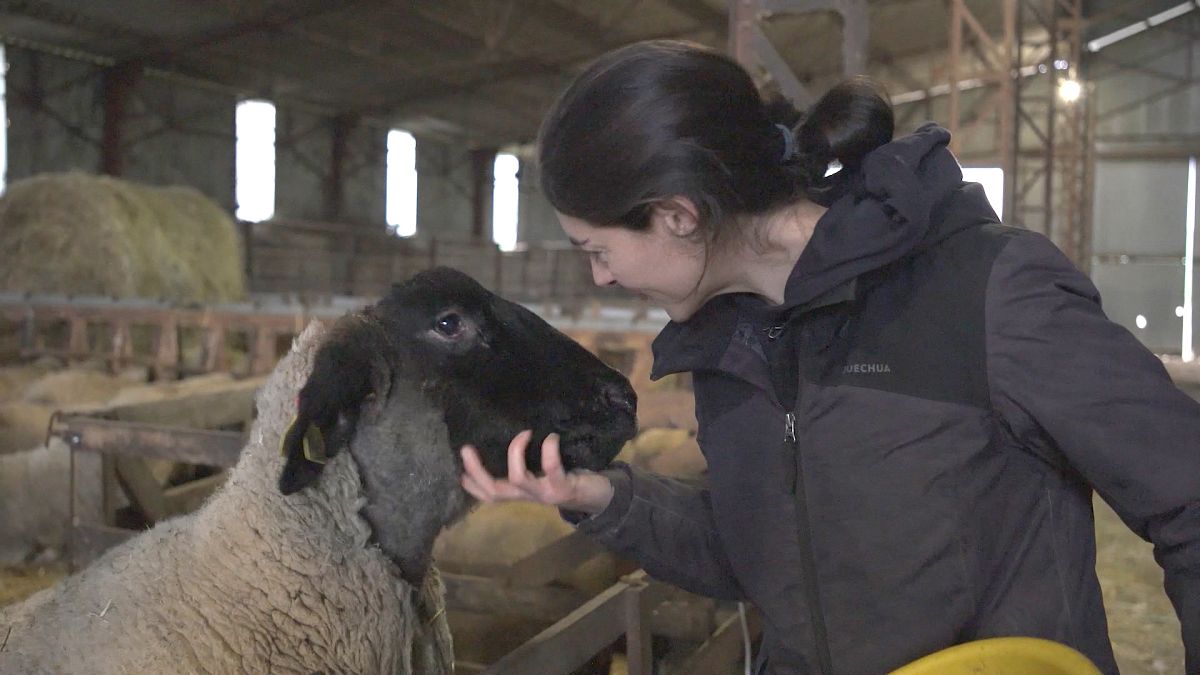 Behind the blockades: Witness joins France