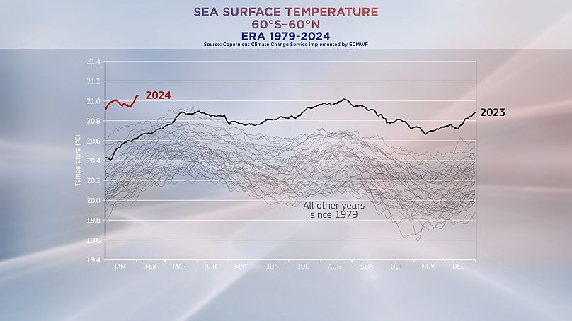 Temperatury powierzchni morza już osiągnęły najwyższy poziom w historii.  Dane z usługi Copernicus ds. zmian klimatycznych.