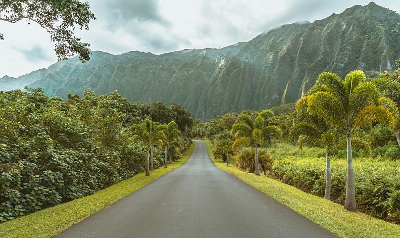 Wyspy są pełne cudów natury, takich jak Ogród Botaniczny Ho'omaluhia w Kaneohe