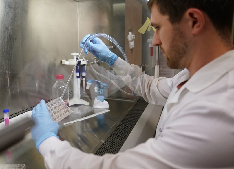 Badacz pracuje nad komórkami raka jajnika hodowanymi na plastikowej płytce w instytucie w Seattle, maj 2023 r.