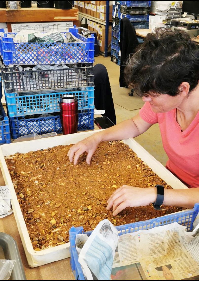 Archeolog sortuje małe kamienie w poszukiwaniu artefaktów archeologicznych.