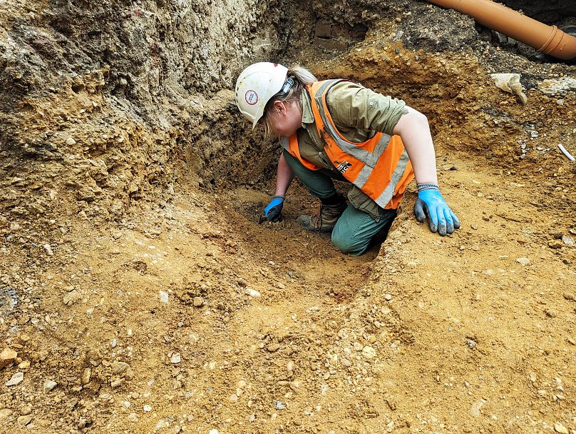 Archeolog wykopuje rów saski na południe od obszaru wykopalisk.