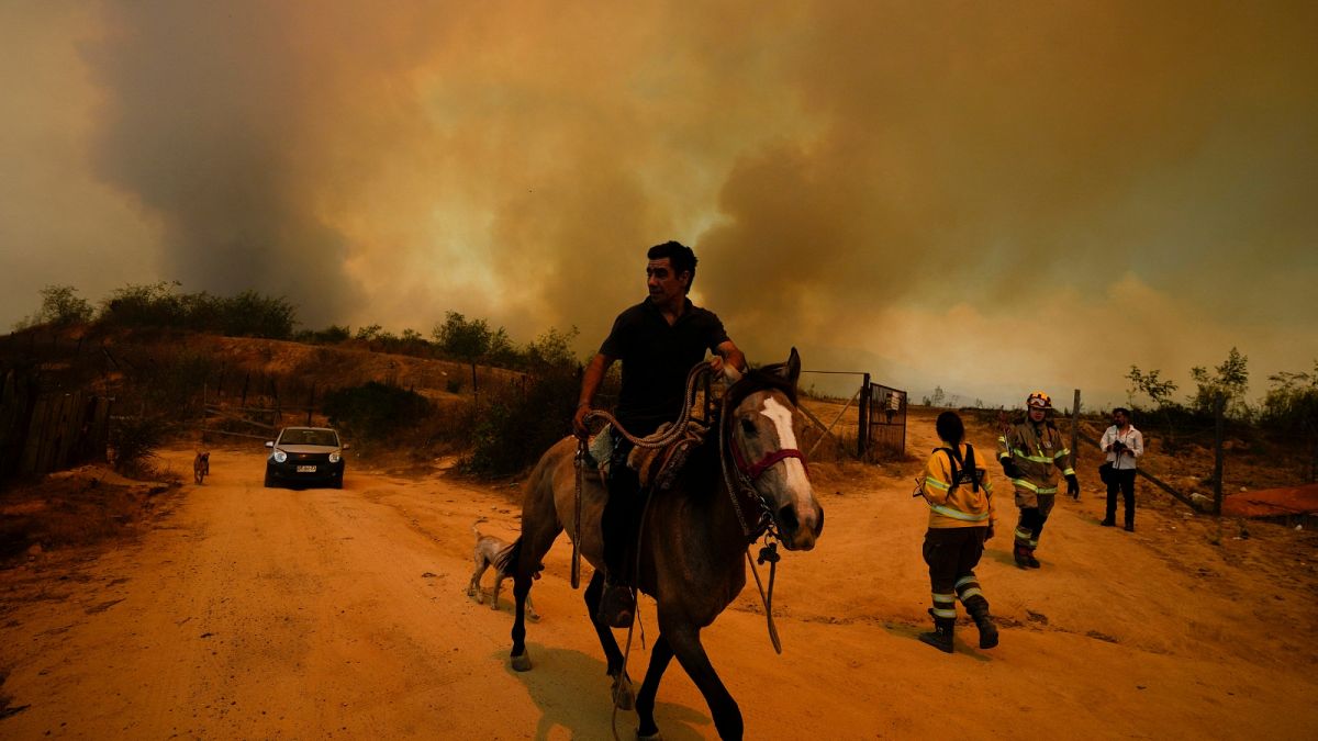 A resident flees an encroaching forest fire in Vina del Mar, Chile, Saturday, Feb. 3, 2024.