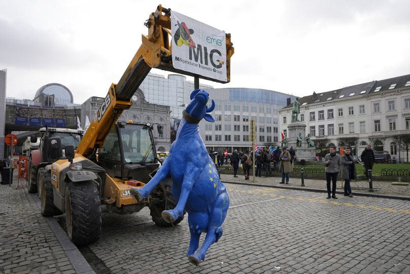 Plastikowa krowa pomalowana w kolory flagi UE trzymana paskiem od traktora podczas demonstracji rolników przed Parlamentem Europejskim, styczeń 2024 r.