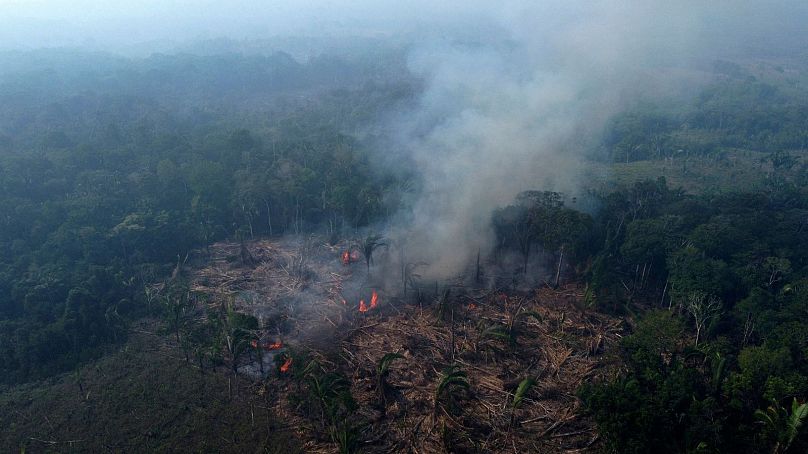 Las płonie w Amazonii w gminie Manaquiri w brazylijskim stanie Amazonas, wrzesień 2023 r.