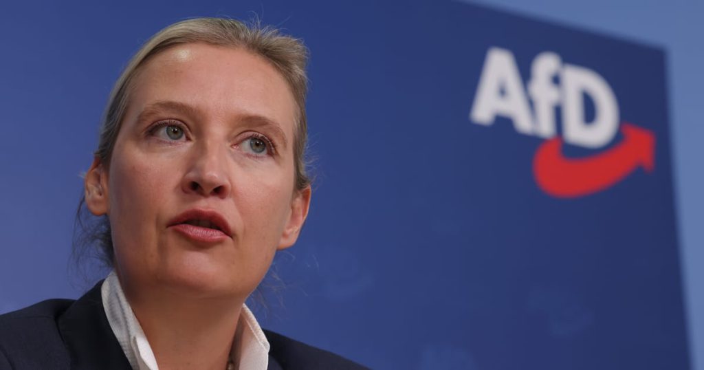 Skrajnie prawicowa AfD próbuje pogodzić się z Le Pen