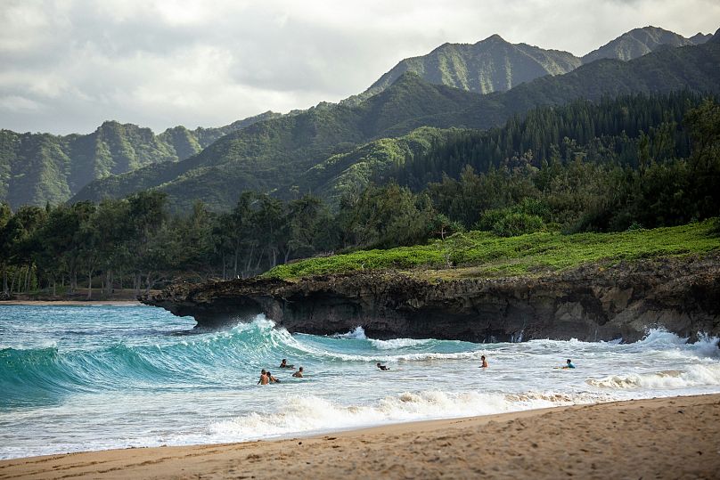 Turyści bawią się w falach na hawajskiej wyspie Oahu