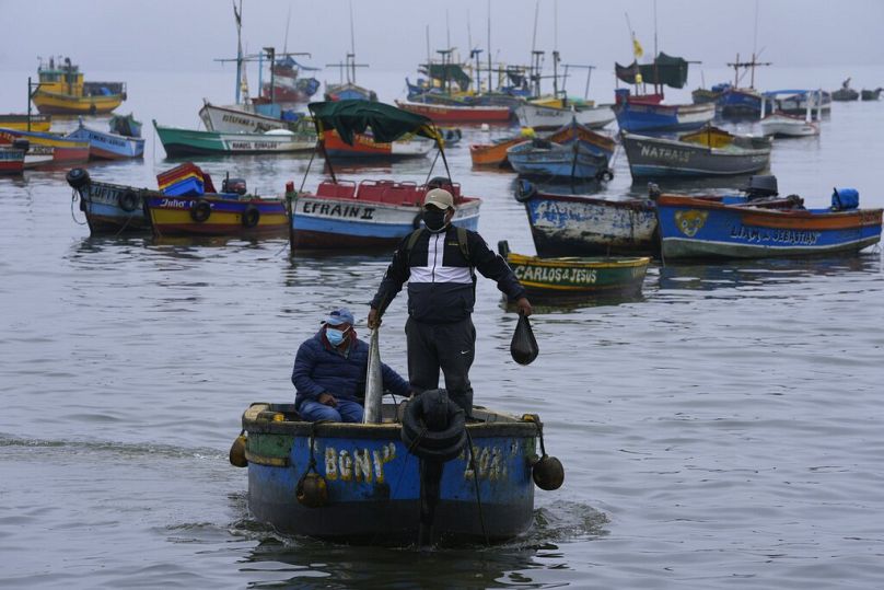 Rybak trzyma rybę, którą złowił w wodach zanieczyszczonych olejem powstałym w wyniku wycieku, Ancon, styczeń 2022 r.