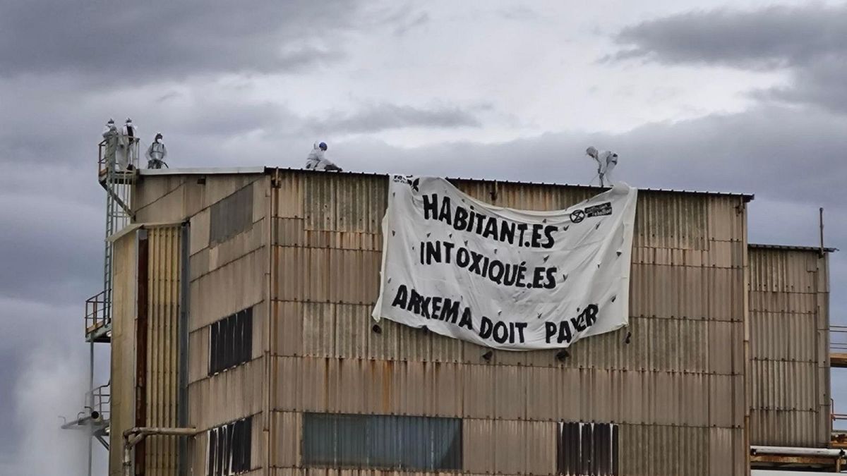 Some of the activists from Youth for Climate and XR scaled the Pierre-Bénite plant buildings on Friday.