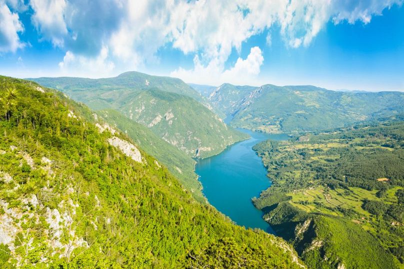 Park Narodowy Tara to raj dla różnorodności biologicznej i przygód na świeżym powietrzu w zachodniej Serbii.