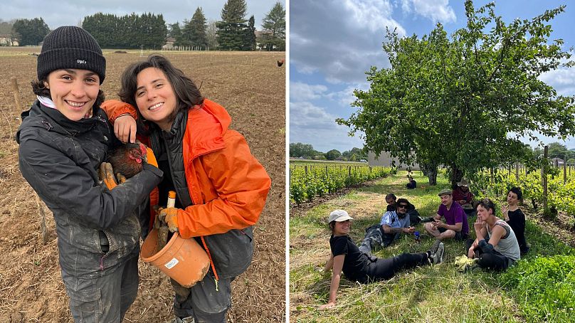 Eliza i Francesca trzymają kurczaka i (R) odpoczywają z innymi wolontariuszami na farmie ekologicznej we Francji, gdzie nauczyły się pielęgnować winorośl bez nawozów.