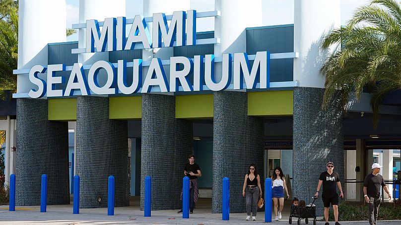 Miami Seaquarium znajduje się w Key Biscayne na Florydzie.