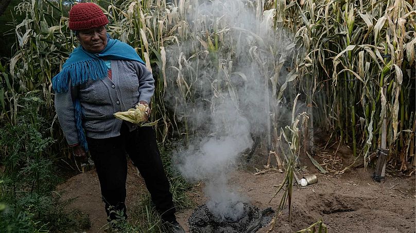 Irene Leonor Flores de Callata (68 l.) przeprowadza krótką ceremonię, aby podziękować Ziemi po inspekcji upraw kukurydzy w swoim domu w Tusaquillas w prowincji Jujuy w Argentynie
