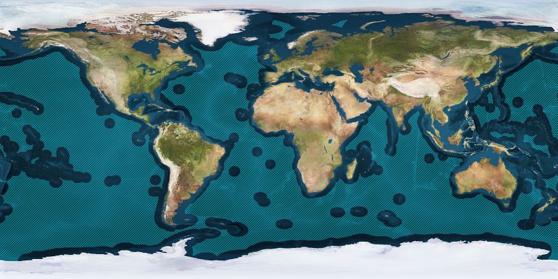 Morze pełne definiuje się jako wszystkie części oceanu niewchodzące w wyłączną strefę ekonomiczną żadnego kraju