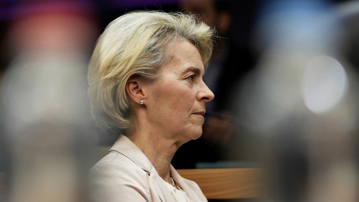 Ursula von der Leyen is seeking a new five-year term at the top of the European Commission, the bloc