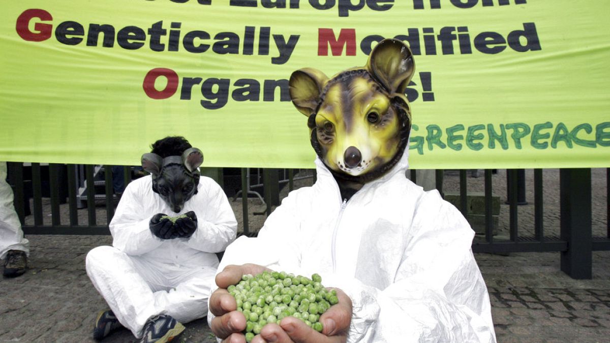 Protest outside the European Council headquarters in Brussels, Belgium in 2005. GOvernments are sensitive to longstanding public scepticism over genetically modified crops