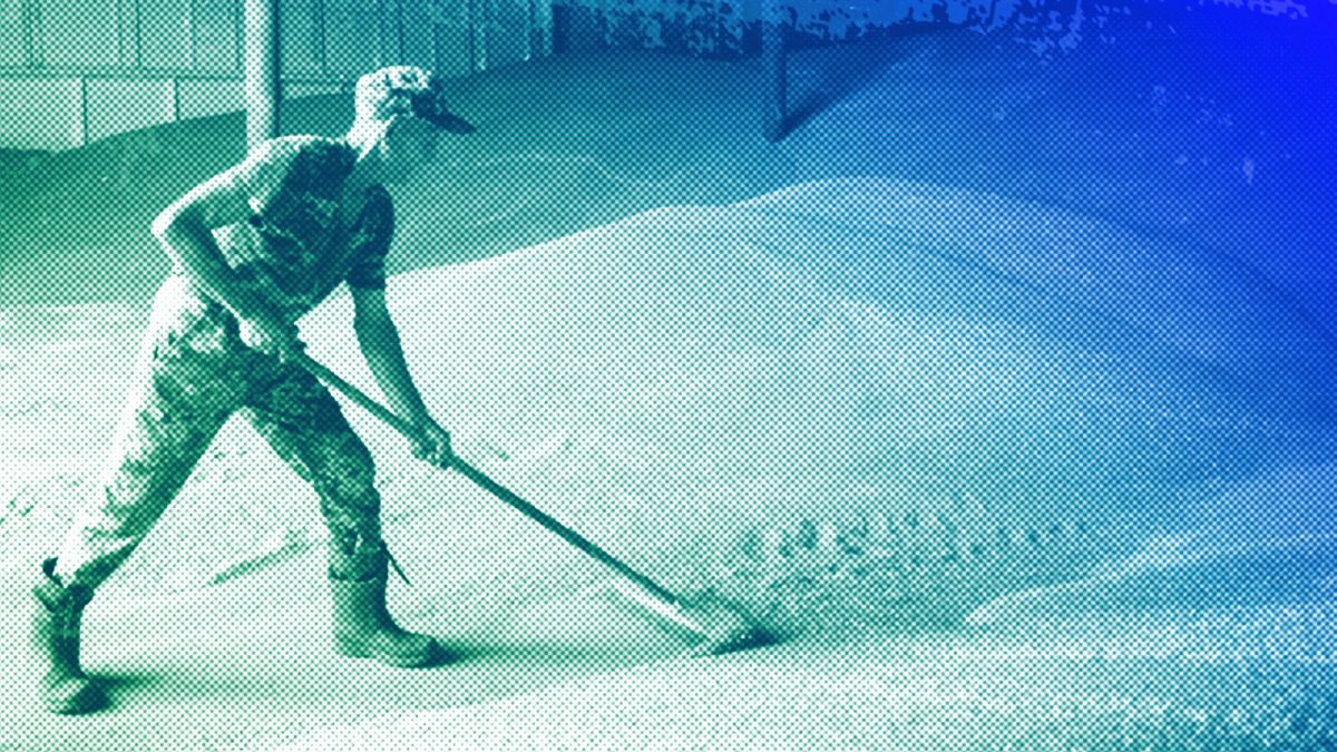 A worker rakes wheat in a granary on a private farm in Zhurivka, Kyiv region, August 2023