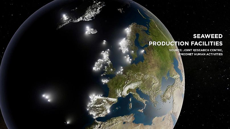 Zakłady produkujące wodorosty w Europie