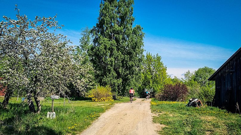 Oprócz widoków na jezioro, na 60-kilometrowej obwodnicy Puumala znajdują się także tradycyjne drogi szutrowe.