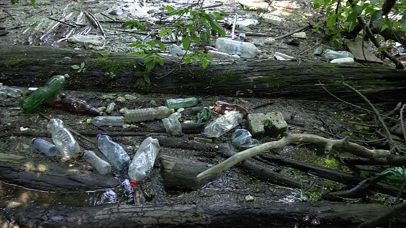 Plastik znaleziony w Cisie pochodzi głównie z krajów położonych wyżej w jej biegu