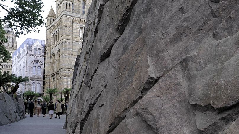 Ściana z osią czasu ewolucji w niedawno odnowionych ogrodach Muzeum Historii Naturalnej w Londynie 