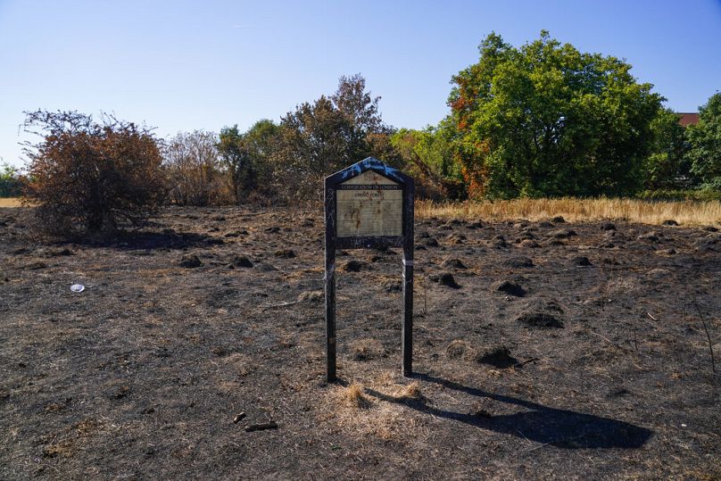 Znak Epping Forest stoi na spalonym gruncie w Wanstead Flats po pożarze trawy w Londynie, piątek, 12 sierpnia 2022 r. 