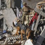 A rescue worker with a dog search for victims in a damaged apartment building after it was hit by Russian air bomb in Kharkiv, Ukraine, Saturday, June 22, 2024.