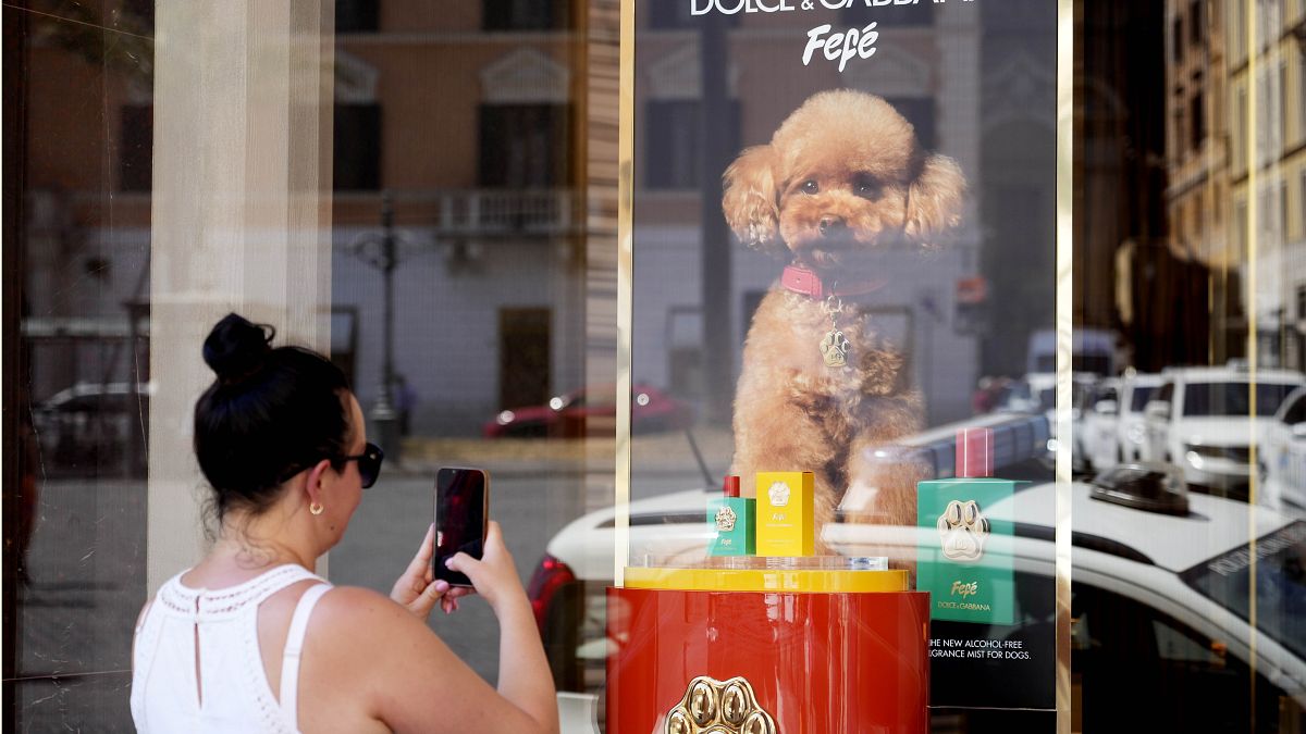 The new Dolce and Gabbana dog perfume called