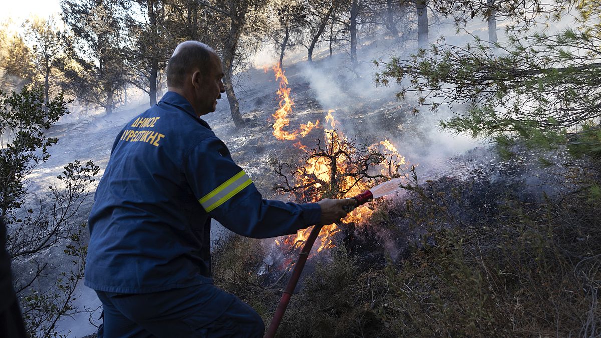 Firefighters tackle a blaze on the outskirts of Athens in June. Global heating has been blamed for the increased frequency and intesity of forest fires across Europe.