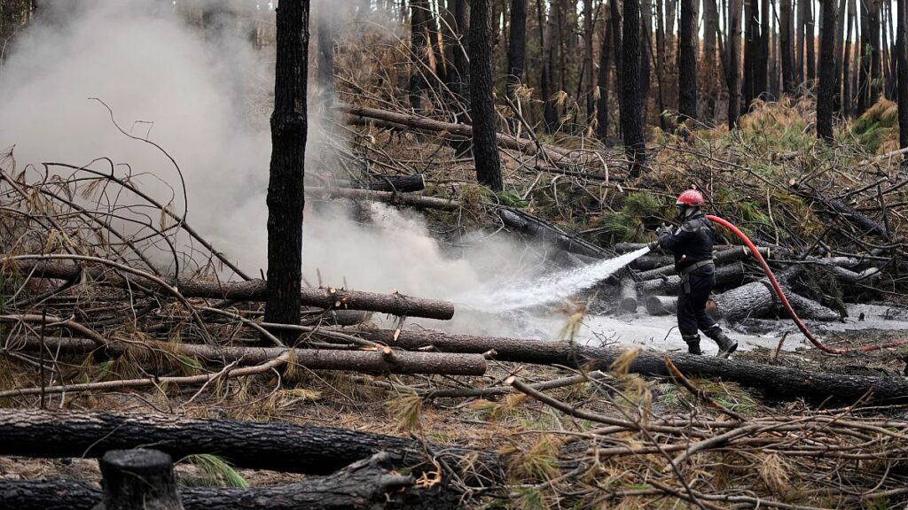 A firefighter sprays water to put out the remains of fires in a forest, south of Bordeaux in 2022.