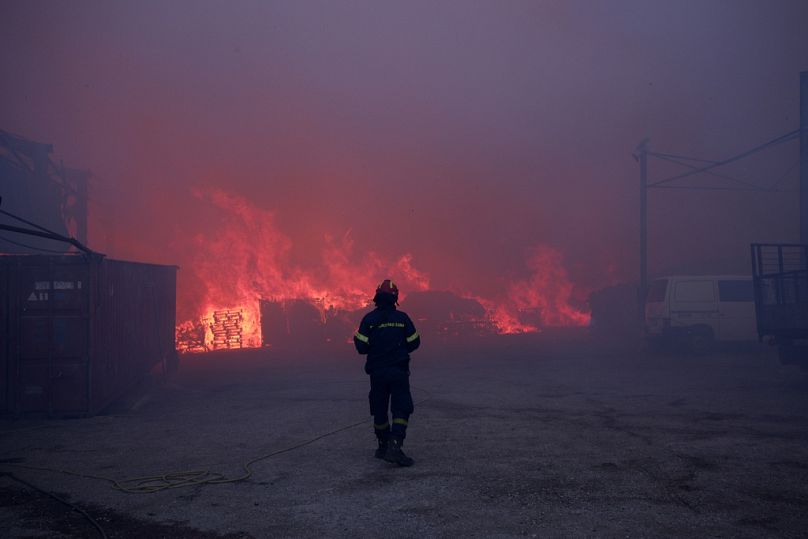 Strażak stoi przed płonącym przedsiębiorstwem podczas pożaru w północnej części Aten, w poniedziałek 12 sierpnia 2024 r., podczas gdy setki strażaków gaszą duży pożar lasu.