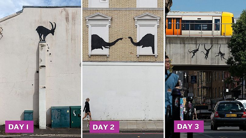 Pierwsze trzy dni projektu londyńskiego zoo Banksy’ego o tematyce zwierzęcej 