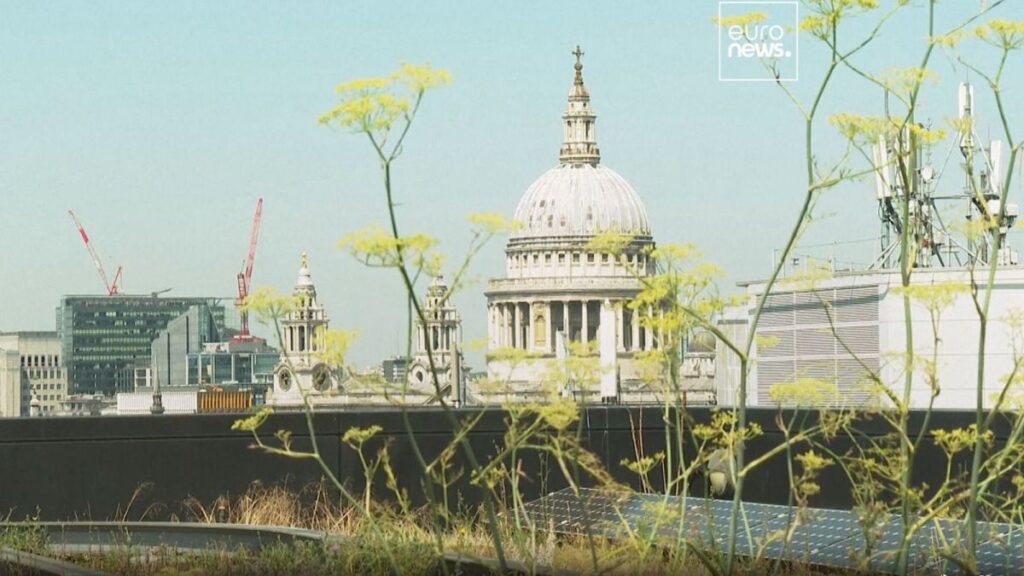 Plants and greenery cover the rooftop of Nomura PLC