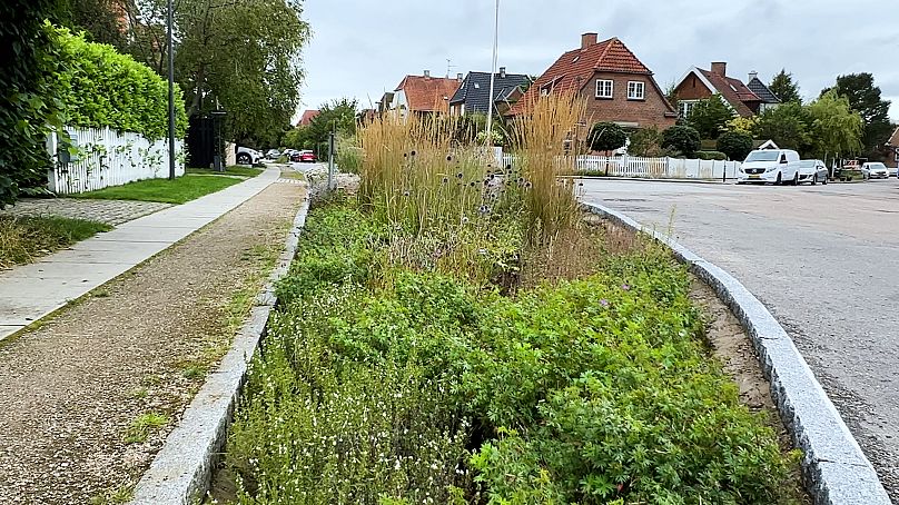 Zainstalowano leżanki deszczowe w dzielnicy mieszkalnej Kopenhagi