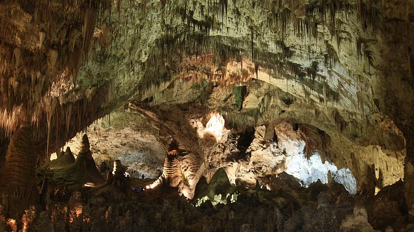 Pokazano setki formacji jaskiniowych zdobiących Duży Pokój w Parku Narodowym Carlsbad Caverns w pobliżu Carlsbad, Nowy Meksyk, grudzień 2010 r. 