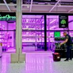 A man buys vegetables from a SweGreen instalment in a supermarket in Uppsala, Finland.